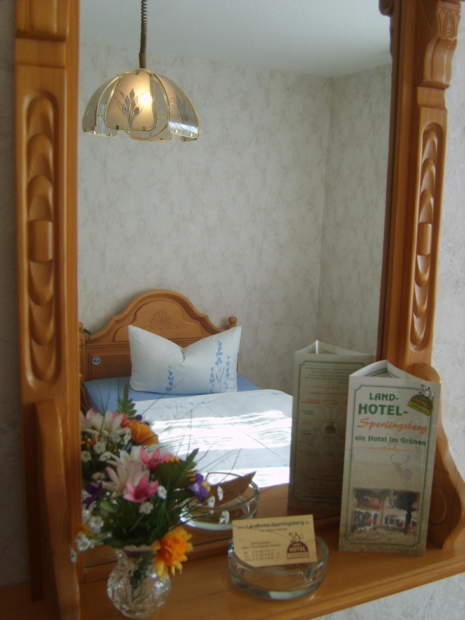 Landhotel Sperlingsberg Crimmitschau Εξωτερικό φωτογραφία